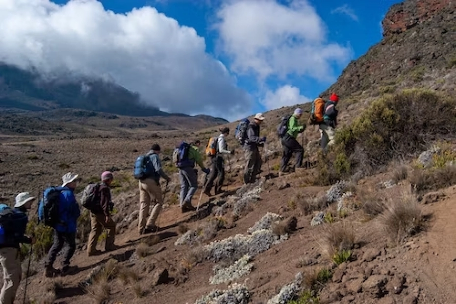 6 Days Machame Route Kilimanjaro Climb Adventure