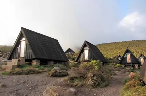 6 Days Marangu Route: Kilimanjaro Climb Adventure