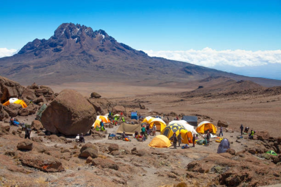 7-Day Rongai Route Kilimanjaro Climbing