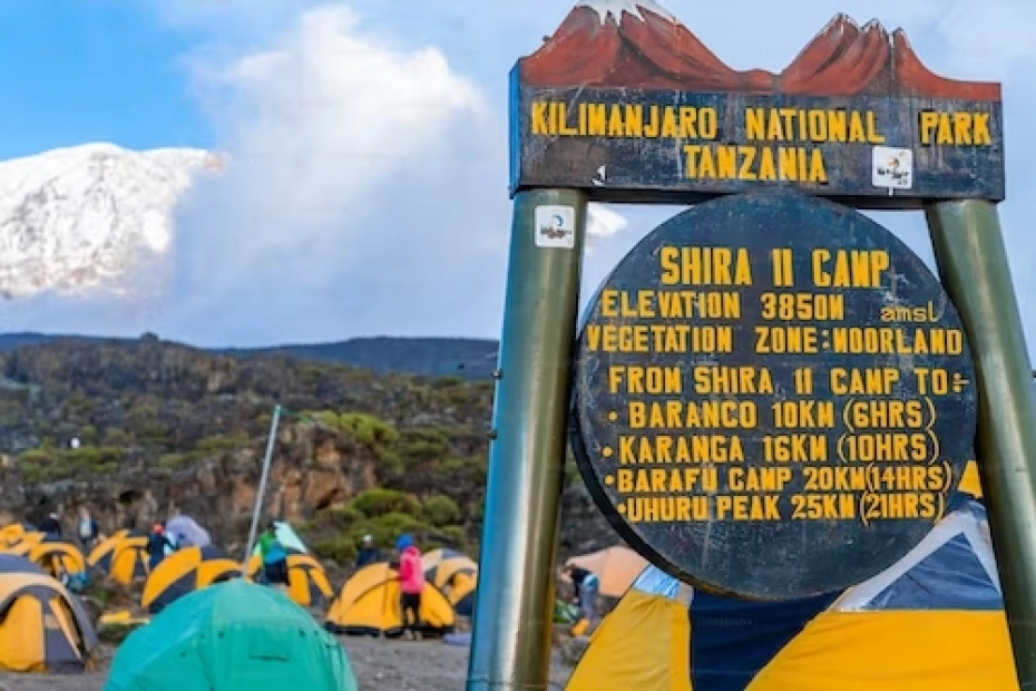 Explore 8-Day Lemosho Route - Kilimanjaro Trek