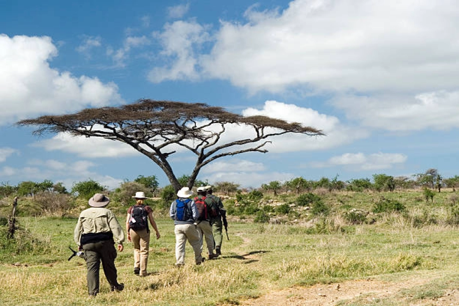 Arusha National Park Day Trip Safari: A Perfect Escape