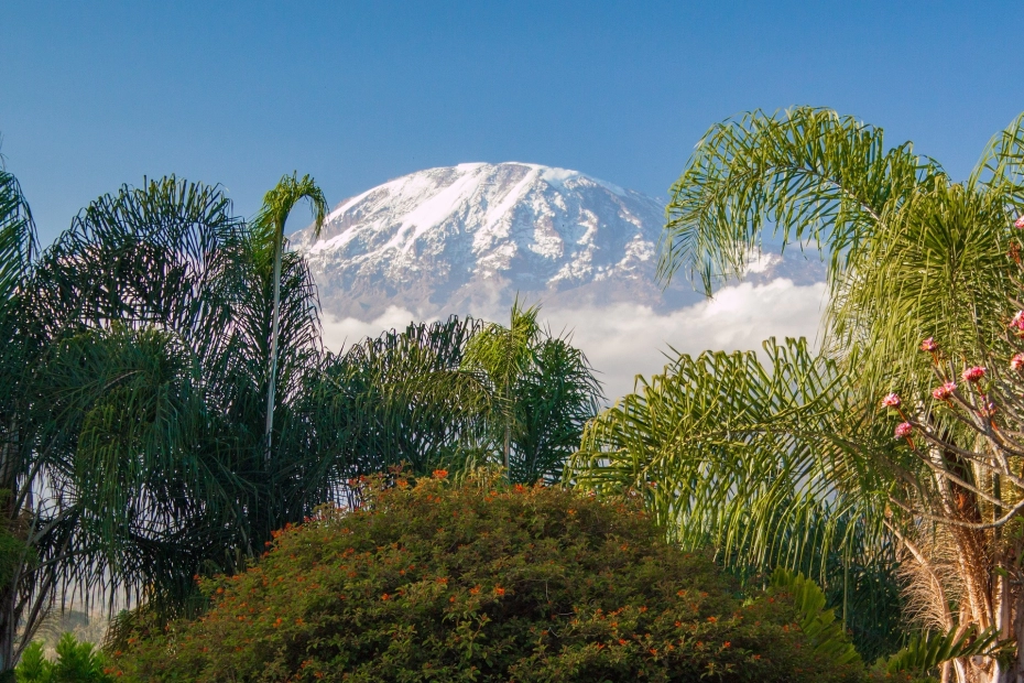 Kilimanjaro National Park: Activities and Attractions