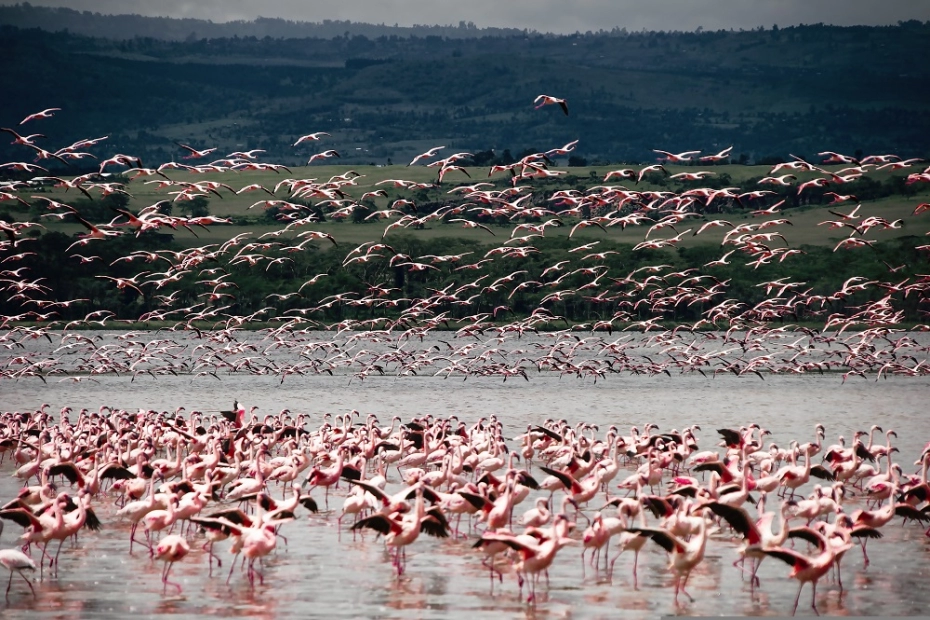 Lake Manyara National Park: Location and Best Time to Visit