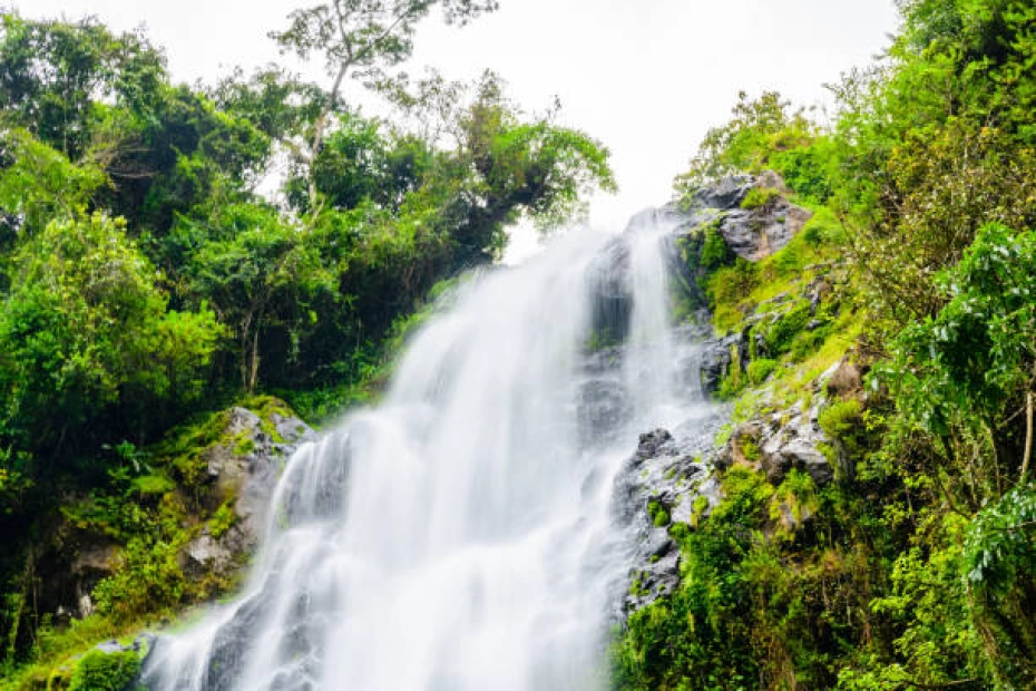 Materuni Waterfalls and Coffee Tour Day Trip